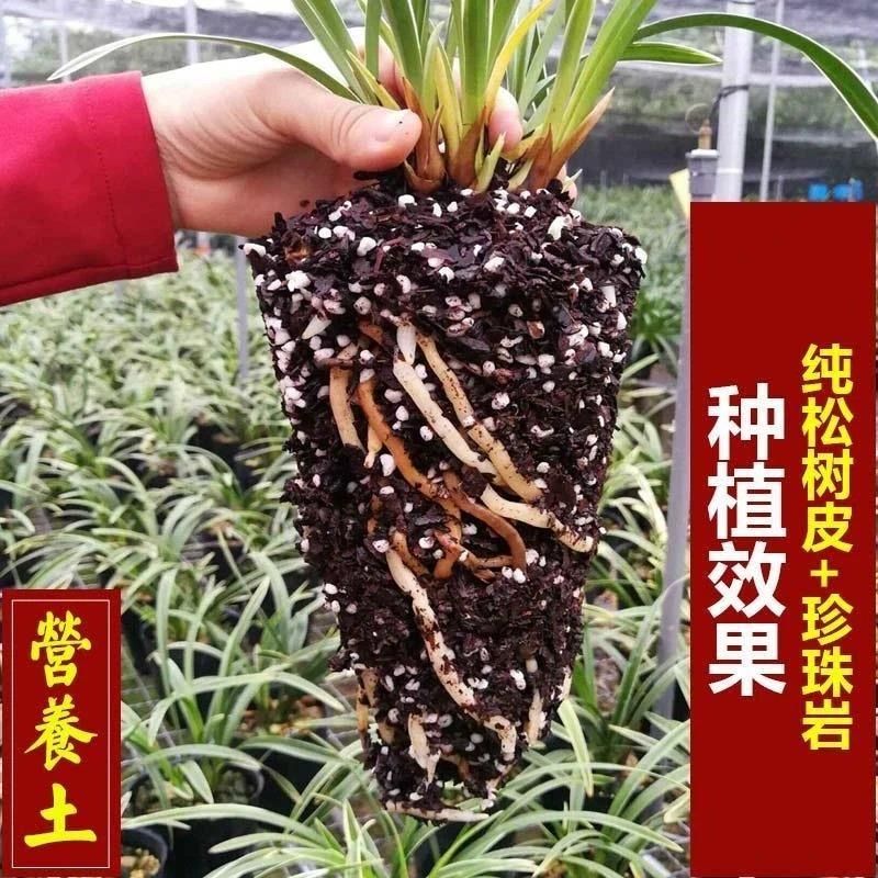 兰花种植专用土兰花土植料兰花营养土16升土老配方营养土兰花-图1