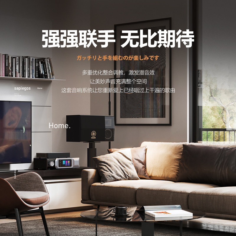 雅马哈家庭ktv套装全套家用音响 新港湾影音KTV/卡拉OK音箱