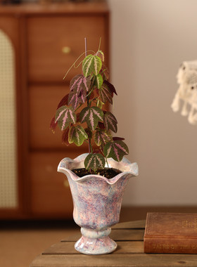 法式陶瓷花盆小号紫色兰蝴