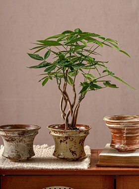 景德镇陶瓷花盆小号家用复