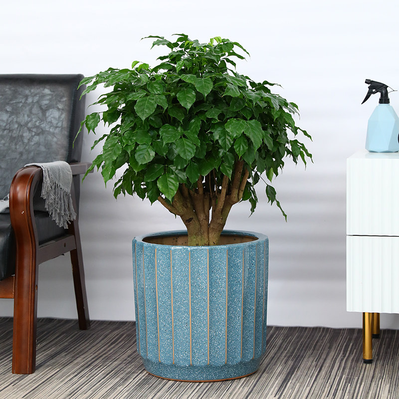 特大号陶瓷花盆家用客厅落地花瓶发财树专用龟背竹绿植茶花大口径,淘宝优惠券,粉丝福利购,淘宝优惠卷