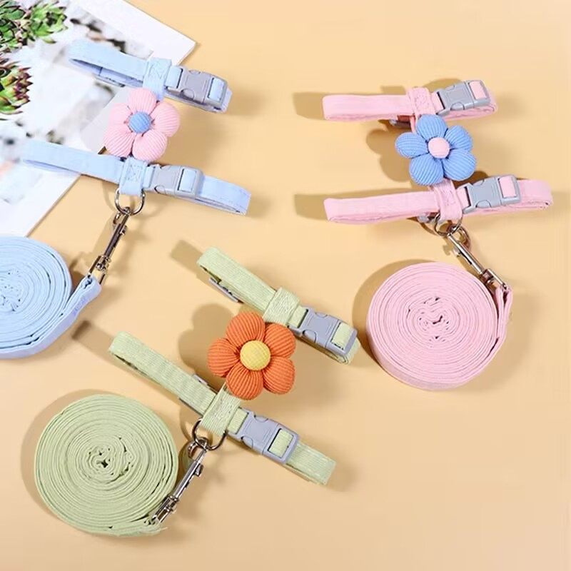 小猫牵引绳猫咪专用防挣脱两个月幼猫绳夏季户外高颜值项圈可调节,淘宝优惠券,粉丝福利购,淘宝优惠卷