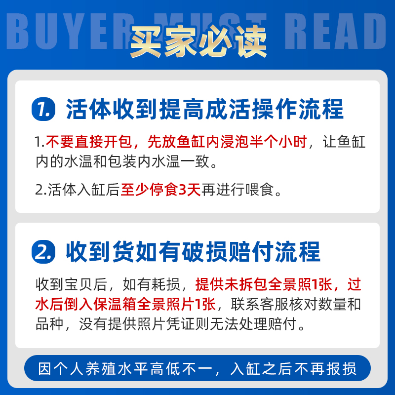 三湖慈鲷马鲷鱼坦鲷杂鲷淡水台系纯种孔雀岩栖小型热带观赏鱼群游 - 图0