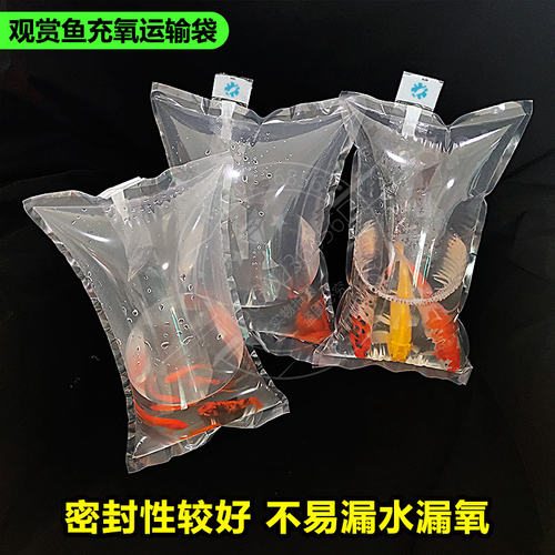 水族打包袋活鱼观赏鱼海参包装袋运输氧气袋装鱼的袋子加厚 - 图0