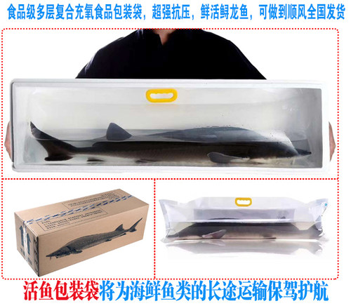 活鱼打包袋氧气袋加厚打氧海鲜鲟鱼包装袋运输氧气袋装活鱼礼品袋 - 图0