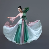 Сон шокирующая танцевальная служба для взрослых практикующих наполовину -кузов юбка для марли.