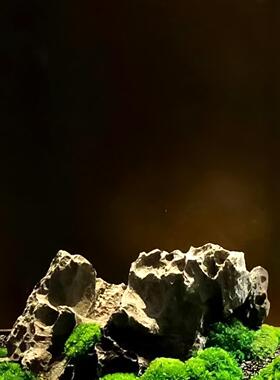 造景石头假山石摆件树脂仿真青龙