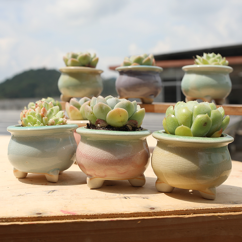 新款多肉花盆陶瓷冰裂流釉创意个性渐变色带脚透气小群生桌面花器 - 图2