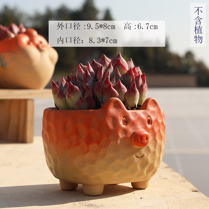 多肉花盆陶瓷可爱创意个性手绘小鱼卡通动物磨砂粗陶桌面特价清仓,淘宝优惠券,粉丝福利购,淘宝优惠卷