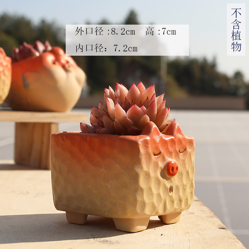 多肉花盆陶瓷可爱创意个性手绘小鱼卡通动物磨砂粗陶桌面特价清仓,淘宝优惠券,粉丝福利购,淘宝优惠卷