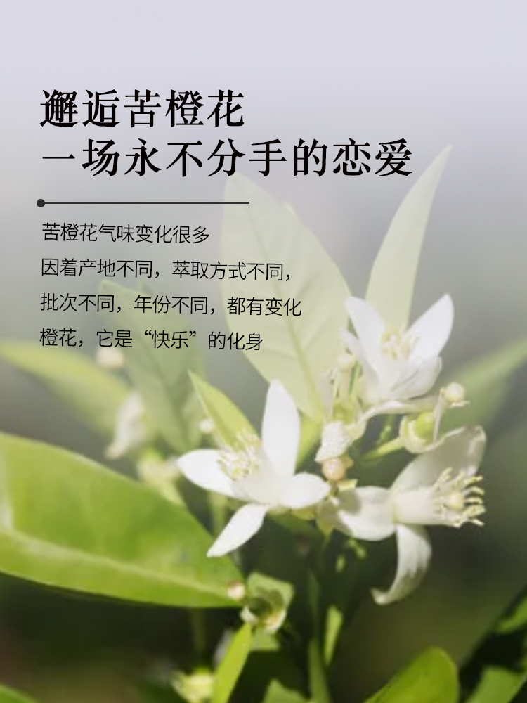 法国有机植物进口亮肤苦橙花纯露 小尼芳香纯露/花水