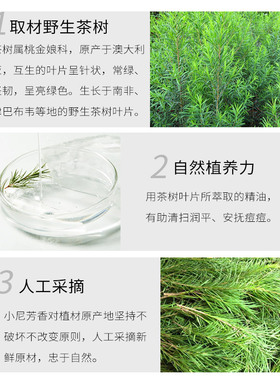 精油澳洲茶树5ml平衡粉刺新品