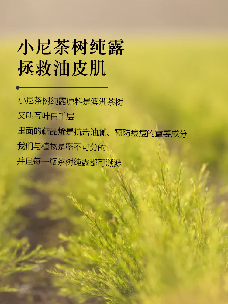 澳洲有机茶树纯露添然植物爽肤水 小尼芳香纯露/花水