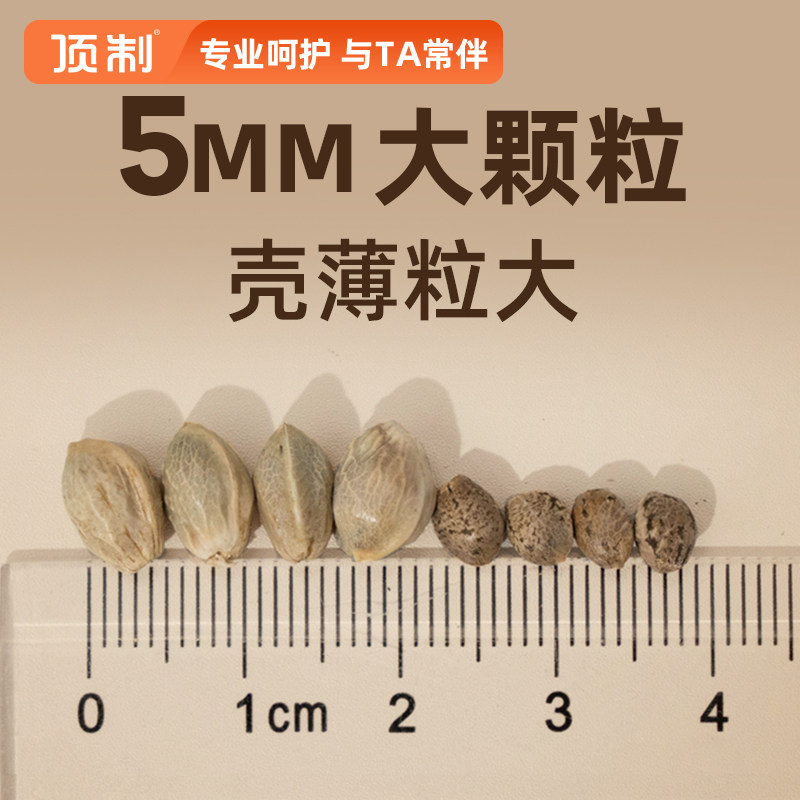 纸壳麻子鹦鹉粮牡丹粮小太阳瓜子大专用奖励火麻仁子纸皮零食玄凤,淘宝优惠券,粉丝福利购,淘宝优惠卷