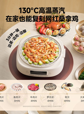 蓝宝电蒸锅2026新款ZG16