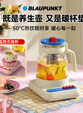 德国蓝宝全玻璃养生壶办公室小型花茶壶家用多功能纯玻璃烧水壶