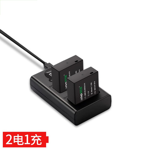 适用松下DMW-BLG10相机电池ble9e充电器gx7 gx9 gx85 gx100 m gf3 gf6 lx100 g110徕卡bp-dc15绿巨能d-lux8 7 - 图0