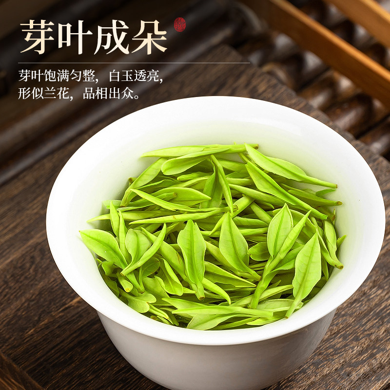  赛八仙安吉白茶