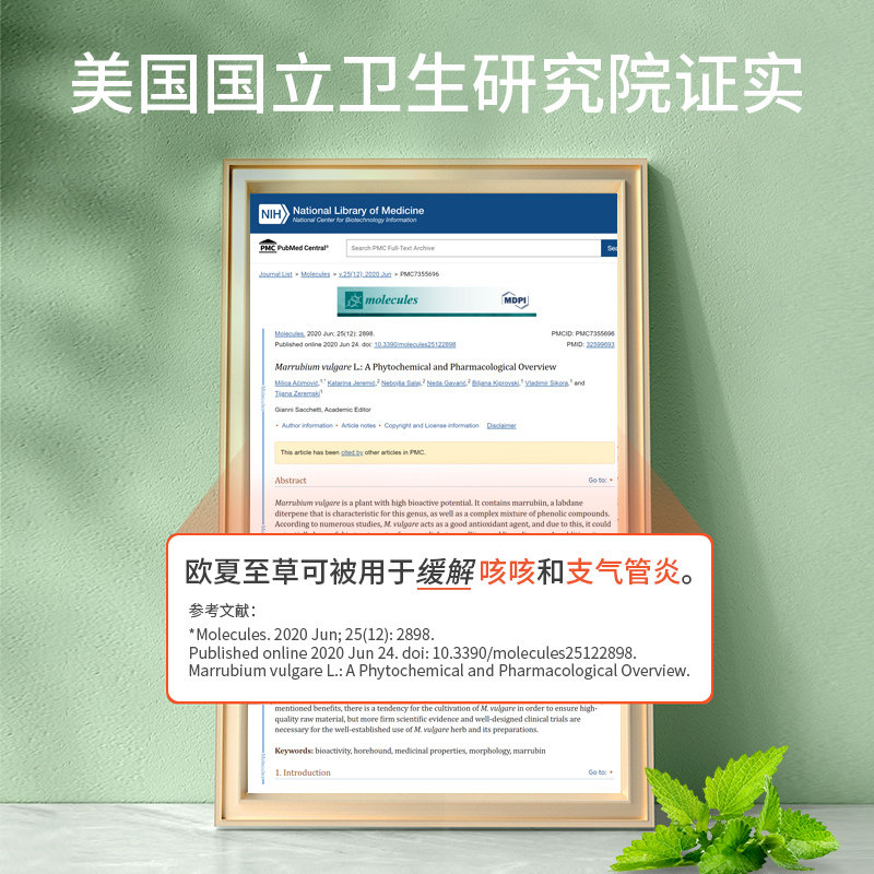 【新品】好分贝成人咳咳肺部健康滴剂 NaturesAnswer海外槲皮素