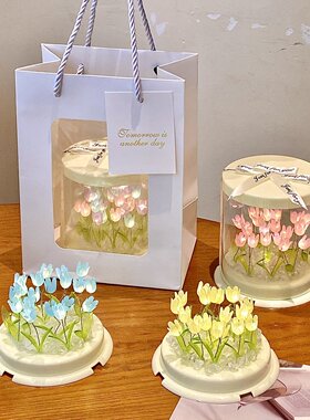 2025新款治愈氛围感手工di