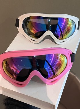 冬季户外护目滑雪镜大脸炫彩片防