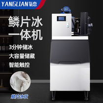 Oxygen Romance Scales Ice Machine Commercial Large Ice Maker Seafood Buffet Split 300500 1000 kg