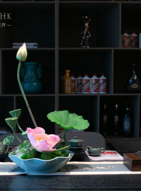 茶桌花酒店客厅茶室室内