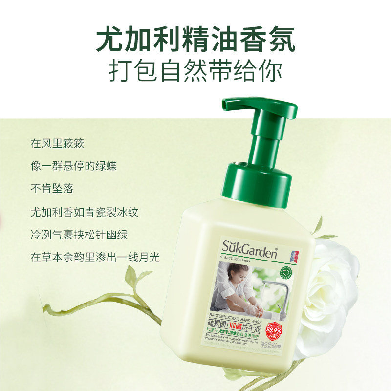 【达播专享】蔬果园泡泡抑菌洗手液尤加利香乌木玫瑰香泡沫清洁