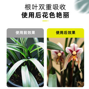 芽动力植物营养液花肥料家用盆栽植物通用型水培蔬菜花卉绿植肥料