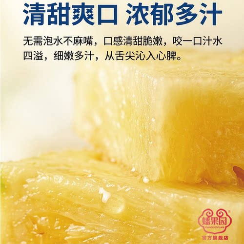 正宗海南金钻凤梨17号特大果新鲜水果树上熟当季手撕无眼香甜爆汁 - 图0