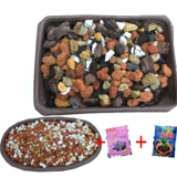 Высокая орхидея почва выделенная гранулярная грязная орхидея посадка орхидея валюта метрочи Терронт Дендробий Ферментированная кора Формула почва почва