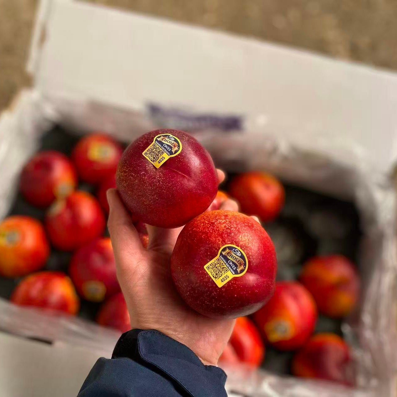 现货澳洲桃黄肉油桃8-12颗礼盒装香甜多汁新鲜金腰带黄金桃子,淘宝优惠券,粉丝福利购,淘宝优惠卷