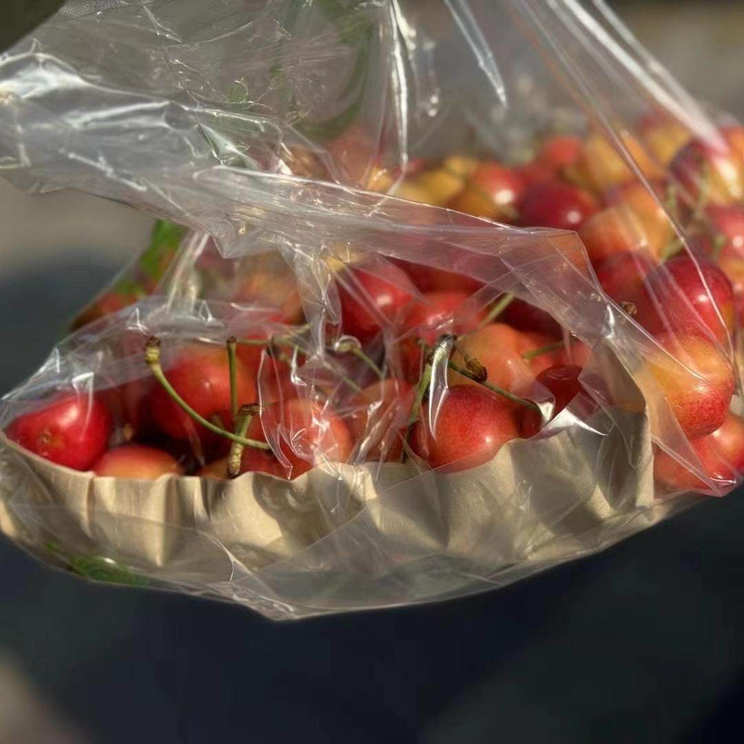 【现货】斯凯拉雷天空之城Skylar Rae黄车厘子整箱4斤大果脆甜 - 图2