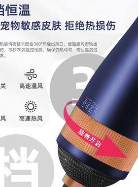 跨境亚马逊宠物双面热风梳负离子大功率吹风干湿两用除毛拉毛一体
