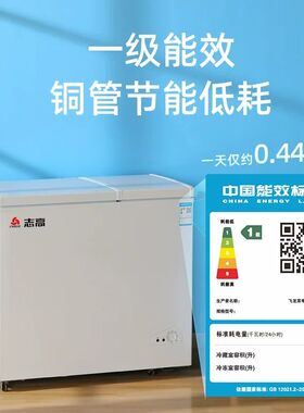 志高冰柜双温家用小型冷