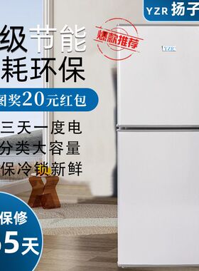 新款双层小冰箱小型出租