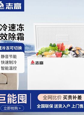 志高单门单温大容量冰柜