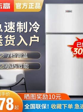 志高冰箱家用双开门三小