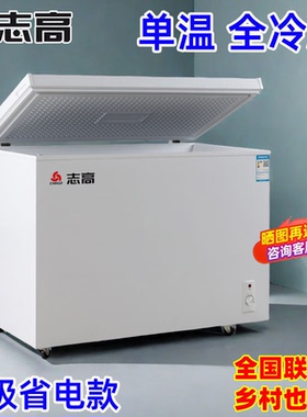 志高单门单温大容量冰柜