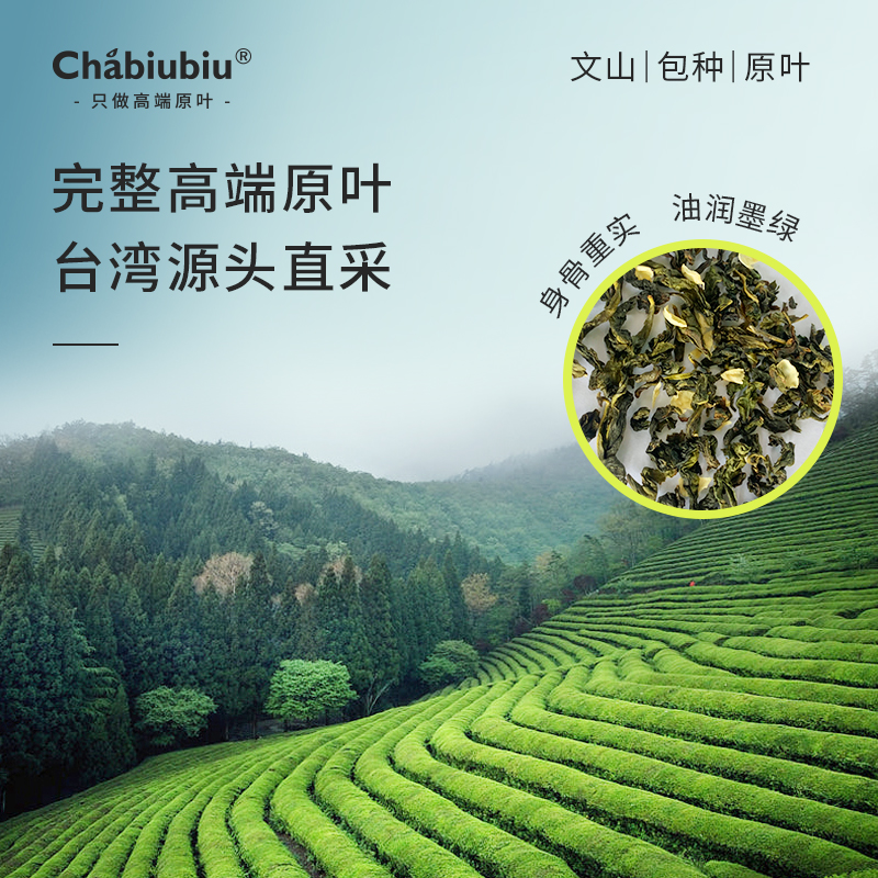 Chabiubiu荔枝乌龙茶冷泡茶无糖茶包夏季果茶袋泡茶组合花茶小包