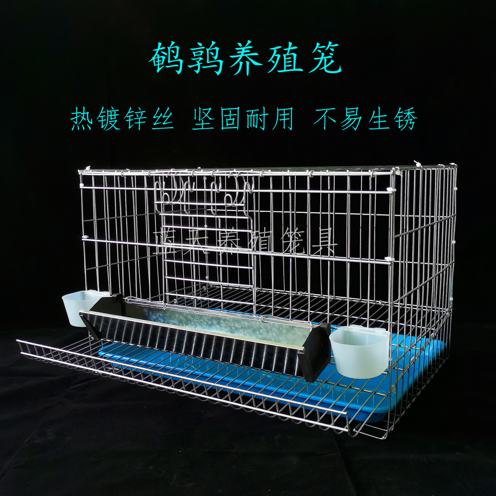小鹌鹑笼子,小鹌鹑一只_大山谷图库