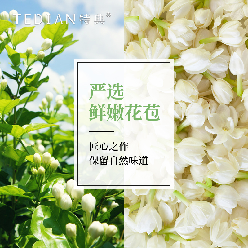 特典茉莉绿茶奶茶店专用茉莉花茶茉香绿茶水果茶柠檬茶绿茶商用-图1