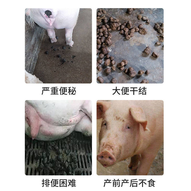 母猪用便秘通便干结肠道通兽用牛羊鸡鸭鹅禽用润肠排便饲料添加剂-图1