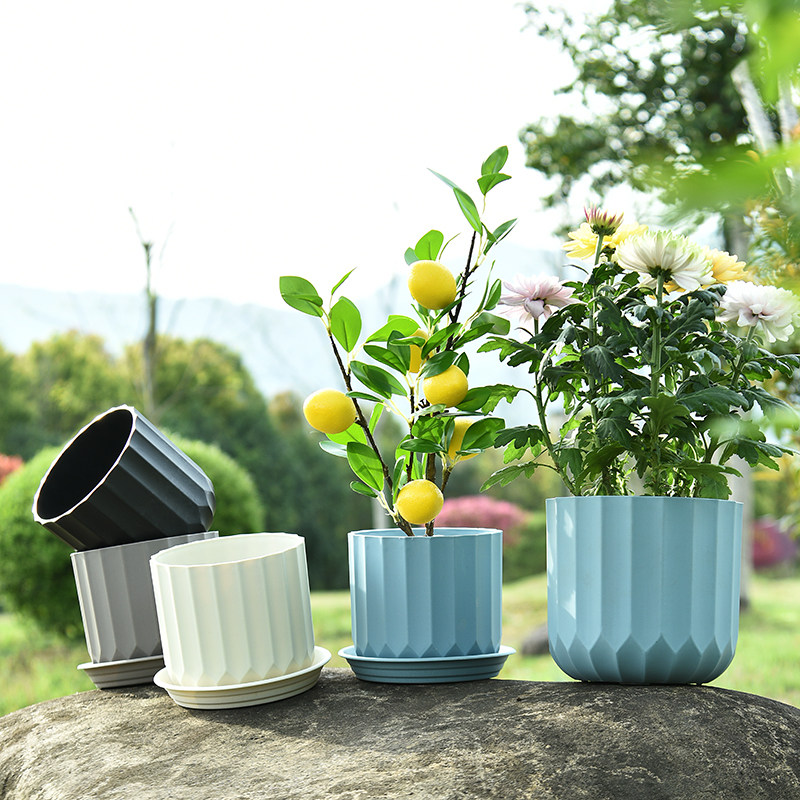 全新北欧简约条纹加厚塑树脂花盆带托蝴蝶兰绿萝多肉彩色塑料花盆,淘宝优惠券,粉丝福利购,淘宝优惠卷