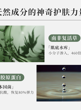 保湿紧致面霜补水樱花见