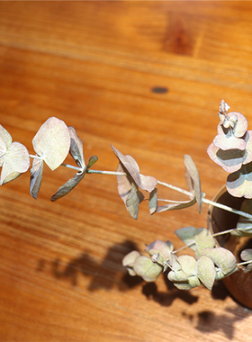 干花鹊桥花艺拍摄道具果实花束