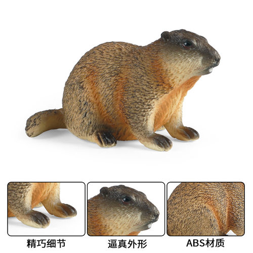 儿童仿真动物模型土拨鼠玩具草地獭雪猪幼儿园认知早教蛋糕摆件 - 图3