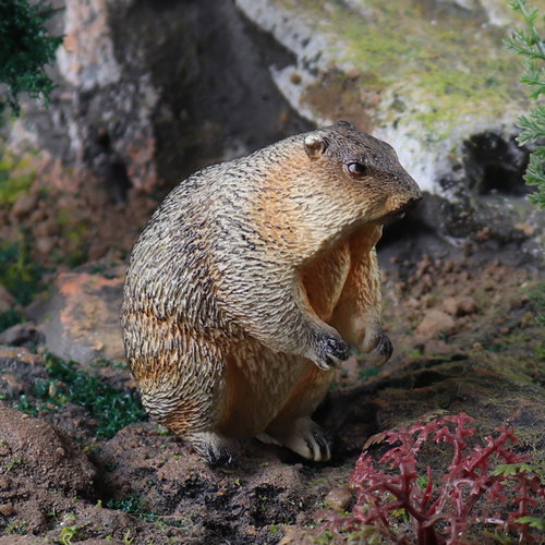儿童仿真动物模型土拨鼠玩具草地獭雪猪幼儿园认知早教蛋糕摆件 - 图2