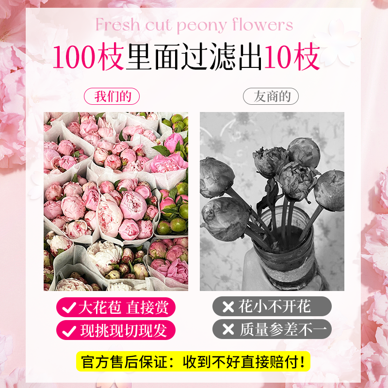 重瓣芍药鲜花云南直发鲜切花束山东牡丹水养落日珊瑚玫瑰百合基地 - 图1