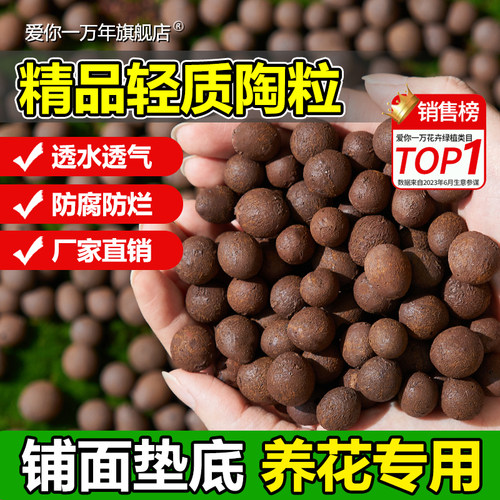 陶粒垫底养花专用多肉营养土花盆花卉回填鱼缸水培铺面火山石颗粒 - 图3